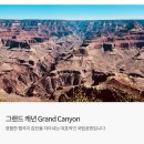 영화여행사