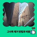 방배1동주민센터 소회의실 | 고사목 제거 방법과 비용