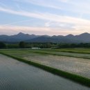 울진동물병원 이미지