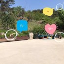 얼룩이농장 이미지