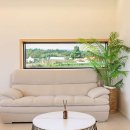 스테이다시올게 이미지