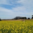 한림목장 이미지