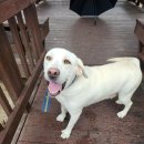 봉화읍사무소 이미지