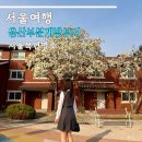 가족공원 | 서울 목련 명소 용산 가족공원 부분개방부지 주차 주말 후기