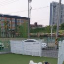 숙희네 개집 | 동탄 애견놀이터 숙희네개집 댕댕이들 공간