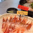 독도카사랑 | 동해밤바다 부천 상동역 근처 맛집 독도꽃새우 닭새우 취급 술집
