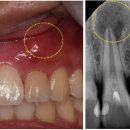 김규훈치과의원 이미지