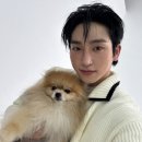 동진 이미지