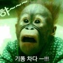 데일리갈비 네이버블로그