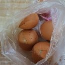 태평양스파 찜질방 이미지