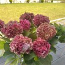 익산원예농협 자재센터 이미지