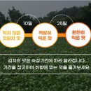 돌산 이미지