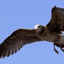 방아머리선착장 이미지