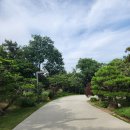 부산동여자고등학교 | 부산 도모헌 카페 모모스커피 도모헌점 아기랑 가면 유모차 트라이크 자전거 필수 / 부산대형카페 추천