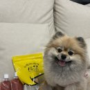 구영유치원 | 강아지수제간식 유니노스 너한개나한개 급여 후기