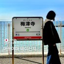 ㈜신지교통(마을버스) | 일본 소도시 여행 마쓰야마 바다가 보이는 바이신지 역