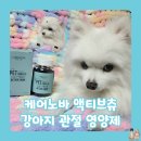 펫컴 | 강아지 슬개골 걱정된다면? 노견영양제로도 좋은 '케어노바 액티브츄 반려견 관절영양제' 솔직후기