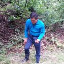 기섭농장 이미지