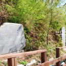 비석공원길 이미지