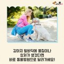 개발바닥 이미지