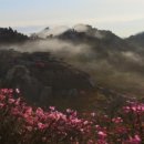 강진3호 이미지