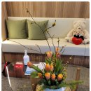 모세마취통증의학과의원 이미지