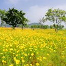 양화 금강변 이미지