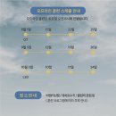 비엠프로젝트