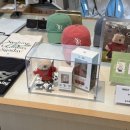 벨라시티레지던스춘천 이미지