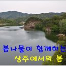 김주일농장 Daum카페
