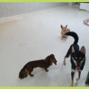 바우밸리 이미지