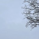 경찰묘지화장실 이미지