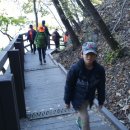 글로리야 이미지