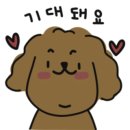 뽀리&쵸쵸 네이버블로그