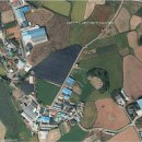 용화사 미륵불 이미지