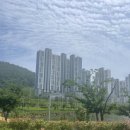 웅천북4로 이미지