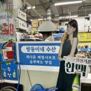 쌍둥이네 수산 네이버블로그
