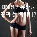 유산균 추천 장건강에 다이어트 효과가 있다? 이미지