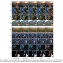 [IEEE] PDENet: A High-Precision Forest Fire Detection Network Enabled by Dual-Stream Hierarchical...