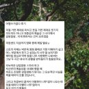 콧수염아가씨 | 어쩔수가없다 영화 후기 (강스포!!)