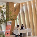 댕댕이의 하루 | 경주 반려견 동반 여행 추천 코스: 키녹 댕댕이의 날 행사 후기