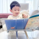 유아자연관찰책 그레이트북스 놀라운자연 두달 후기