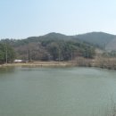 침곡지 네이버블로그