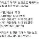 노란넘버 대리보험 확인하는 법 이미지