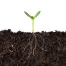 정원화학 이미지