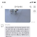 같이놀레오 이미지