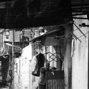 처연의 소리 이미지