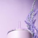 버디스토어 - 홍천군 | 버디스토어