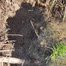 반송동188 이미지