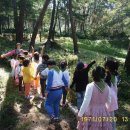 동초병설유치원 이미지